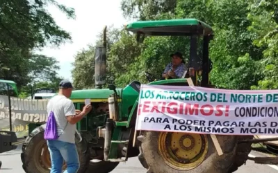Gobernadora del Tolima exige a Petro cumplir acuerdos con arroceros para evitar un nuevo paro