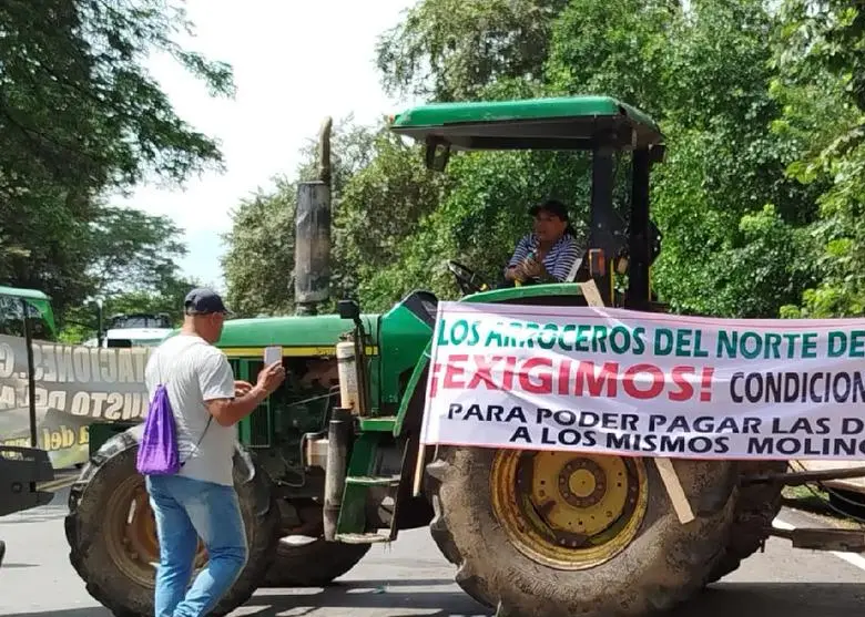 Paro Arrocero