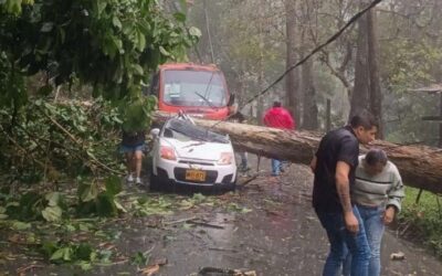 Emergencia por lluvias en Ibagué: daños y desbordes en el Cañón del Combeima