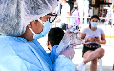 Tolima podría declarar calamidad pública por brote de fiebre amarilla