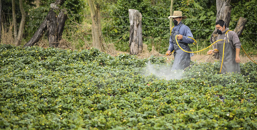 ¿Amenaza a la Autonomía Agropecuaria? Hubert Ariza analiza la nueva resolución del Minagricultura