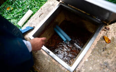 Coca-Cola vs. La Calera: el conflicto por siete manantiales que agita el debate sobre el agua en Colombia