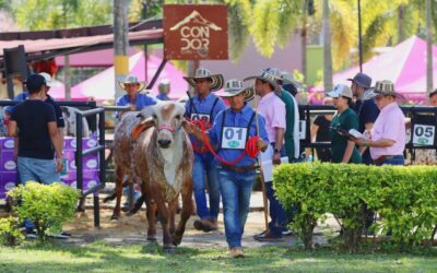 Feria Agropecuaria de Ibagué desplegará un cartel musical imperdible con Penchy Castro, Freddy Montoya y Dinkol Arroyo
