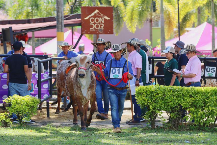 Feria Agropecuaria Ibague