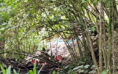 Encuentran cuerpo en zona boscosa del Parque La Paz en Ibagué