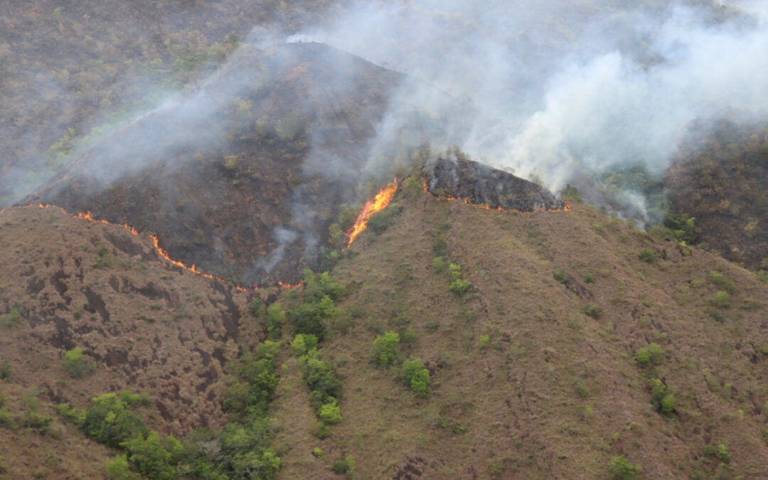 Ocho incendios forestales en el Tolima dejan 80 hectáreas quemadas y mantienen alerta roja