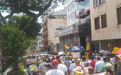 Gremios y ciudadanos marchan en Ibagué contra el alza del pasaje