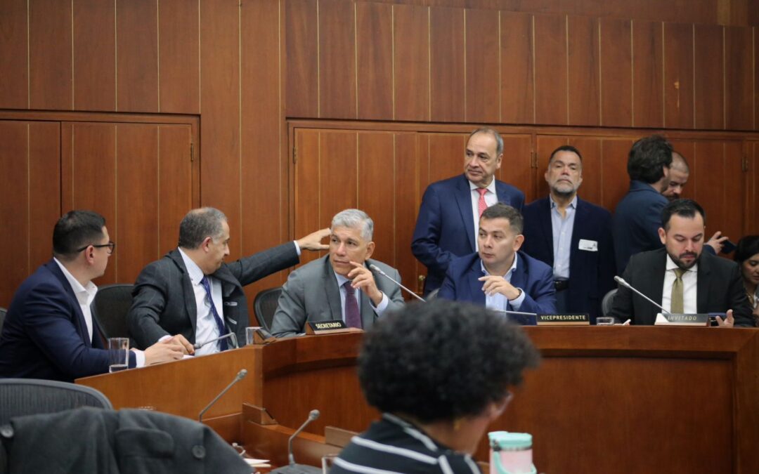 Senado convoca a Gobierno, gremios y productores para frenar la crisis arrocera