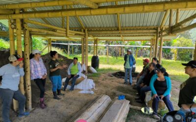 Ponen en funcionamiento vivero comunitario para fortalecer la producción rural en Ibagué