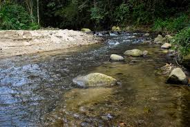 Avanza recuperación del río Chipalo tras millonaria intervención ambiental