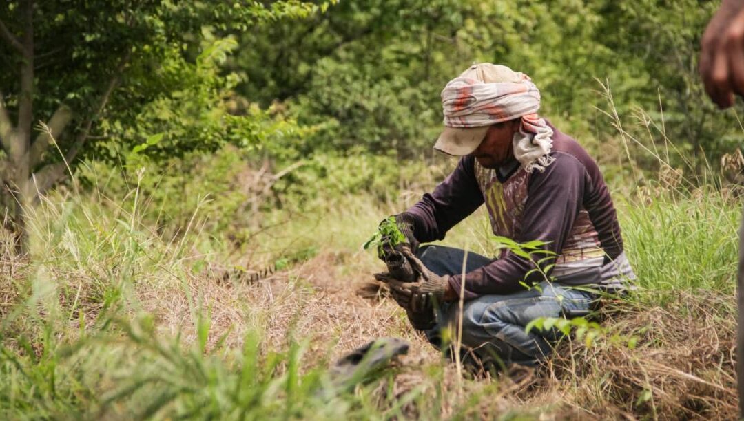 Aprueban $14.787 millones para conservación ambiental en el Tolima