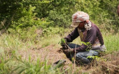 Aprueban $14.787 millones para conservación ambiental en el Tolima