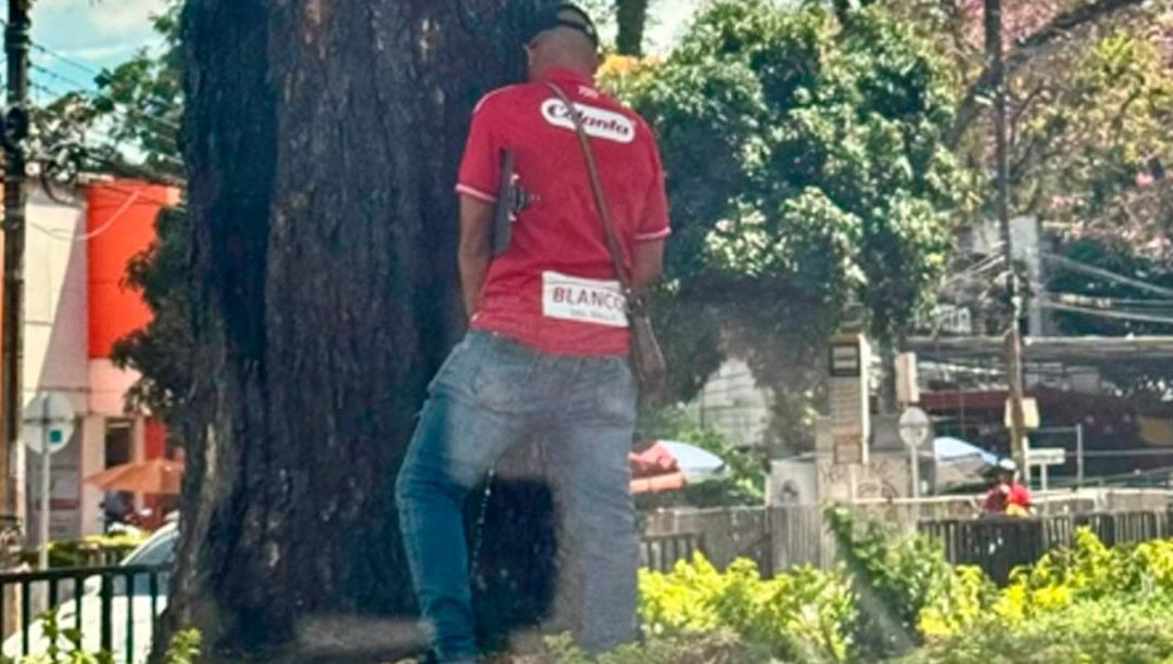 Sancionan a ciudadano por comportamiento inadecuado en separador vial de Ibagué
