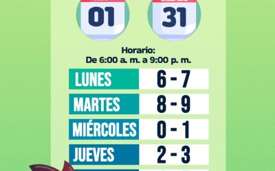 Desde este miércoles cambia la rotación del pico y placa para vehículos particulares en Ibagué