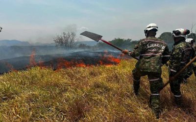 Ejército refuerza atención de incendios forestales en siete municipios del Tolima