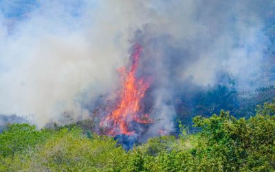 Comunidad de Ortega reporta falta de ayudas tras incendios forestales