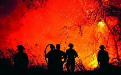 Más de 150 soldados apoyan el control de seis incendios forestales en el Tolima