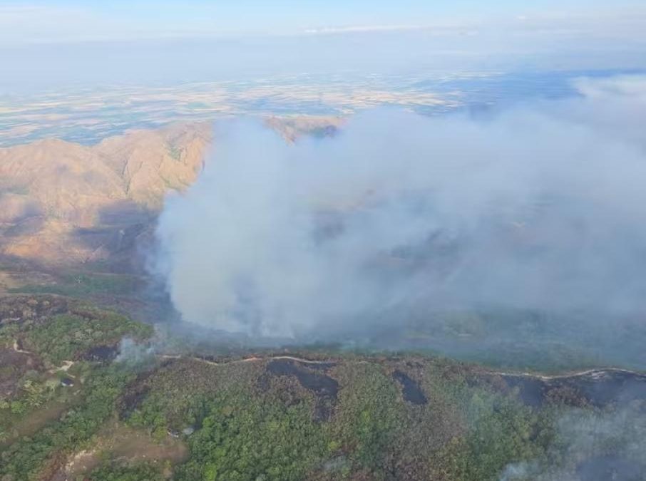 Incendio subterráneo afecta 14 hectáreas de bosque en Galilea, Tolima